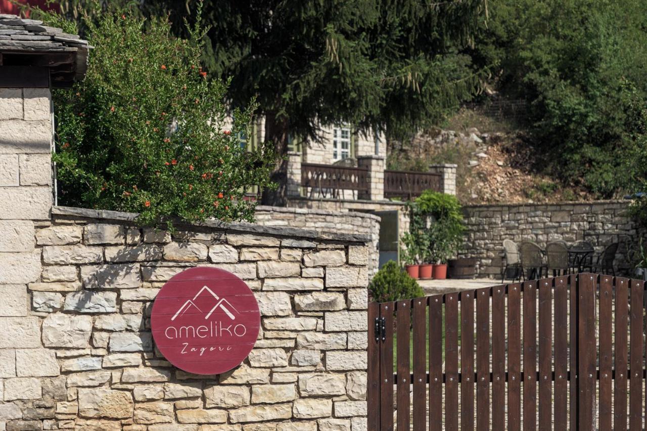 Ameliko Zagori Hotel Áno Pediná Exterior foto